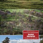 خرید و دانلود نسخه کامل کتاب Vestfold Ship Burials: Management Plan 2012-2016
