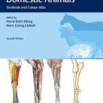 خرید و دانلود نسخه کامل کتاب Veterinary Anatomy of Domestic Animals: Textbook and Colour Atlas