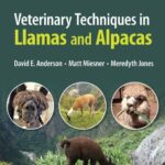 خرید و دانلود نسخه کامل کتاب Veterinary Techniques in Llamas and Alpacas