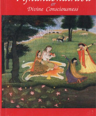 خرید و دانلود نسخه کامل کتاب Vijnanabhairava or Divine Consciousness: A Treasury of 112 Types of Yoga (English and Sanskrit Edition)
