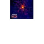 خرید و دانلود نسخه کامل کتاب Visual C# Demystified