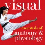 خرید و دانلود نسخه کامل کتاب Visual Essentials of Anatomy & Physiology