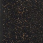 خرید و دانلود نسخه کامل کتاب Volja i uspjeh