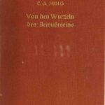 خرید و دانلود نسخه کامل کتاب Von den Wurzeln des Bewußtseins. Studien über den Archetypus
