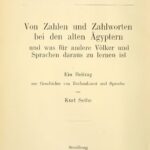 خرید و دانلود نسخه کامل کتاب Von Zahlen und Zahlworten bei den alten Ägyptern und was für andere Völker und Sprachen daraus zu lernen ist. Ein Beitrag zur Geschichte von Rechenkunst und Sprache