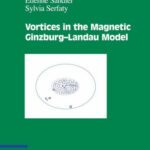 خرید و دانلود نسخه کامل کتاب Vortices in the Magnetic Ginzburg-Landau Model