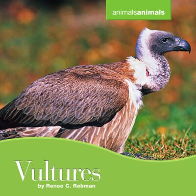 خرید و دانلود نسخه کامل کتاب Vultures
