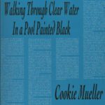 خرید و دانلود نسخه کامل کتاب Walking Through Clear Water in a Pool Painted Black (Native Agents)