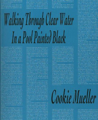 خرید و دانلود نسخه کامل کتاب Walking Through Clear Water in a Pool Painted Black (Native Agents)