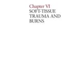 خرید و دانلود نسخه کامل کتاب War surgery in Afghanistan and Iraq: a series of cases, 2003-2007 (Atlas Chapter 6-7)
