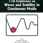 خرید و دانلود نسخه کامل کتاب Waves and Stability in Continuous Media