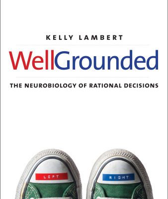 خرید و دانلود نسخه کامل کتاب Well-Grounded: The Neurobiology of Rational Decisions