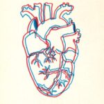 خرید و دانلود نسخه کامل کتاب Wet Engine: Exploring the Mad Wild Miracle of the Heart