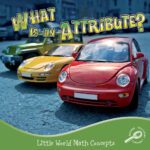 خرید و دانلود نسخه کامل کتاب What Is an Attribute?