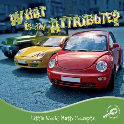 خرید و دانلود نسخه کامل کتاب What Is an Attribute?
