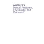 خرید و دانلود نسخه کامل کتاب Wheeler’s Dental Anatomy, Physiology and Occlusion, 10th Ed