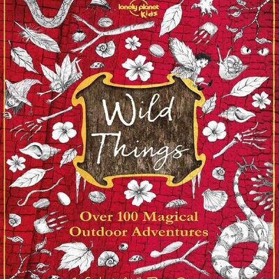 خرید و دانلود نسخه کامل کتاب Wild Things