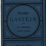 خرید و دانلود نسخه کامل کتاب Wildbad Gastein