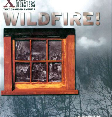 خرید و دانلود نسخه کامل کتاب Wildfire! : the 1871 Peshtigo firestorm
