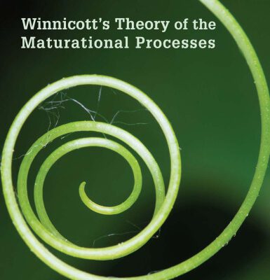 خرید و دانلود نسخه کامل کتاب Winnicott’s Theory of the Maturational Processes