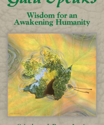 خرید و دانلود نسخه کامل کتاب Wisdom for an Awakening Humanity