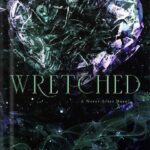 خرید و دانلود نسخه کامل کتاب Wretched (Never After Series) by Emily McIntire