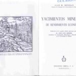 خرید و دانلود نسخه کامل کتاب Yacimientos minerales de rendimiento económico