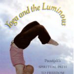 خرید و دانلود نسخه کامل کتاب Yoga and the Luminous: Patanjali’s Spiritual Path to Freedom