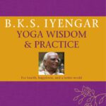 خرید و دانلود نسخه کامل کتاب Yoga Wisdom & Practice