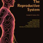 خرید و دانلود نسخه کامل کتاب Your Body. How It Works. The Reproductive System