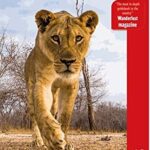 خرید و دانلود نسخه کامل کتاب Zambia (Bradt Travel Guides)