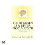 خرید و دانلود کتاب Your Brain is a River , Not a Rock جامع ترین فایل موجود