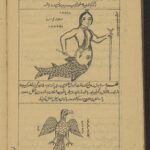 خرید و دانلود کتاب علوم غریبه نسخه ی کامل در فرمت پی دی اف