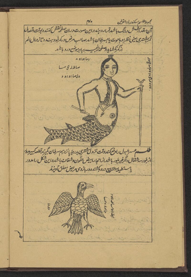 کتاب-های-علوم-غریبه-82 خرید و دانلود کتاب علوم غریبه نسخه ی کامل در فرمت پی دی اف - تصویر 1