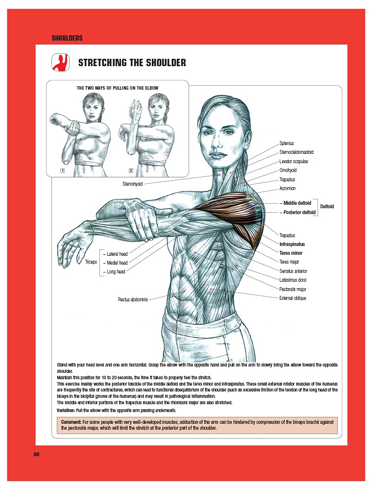 61wtl3D5mTL._SL1000_ خرید و دانلود نسخه کامل کتاب Strength Training Anatomy, 3rd Edition - تصویر 4