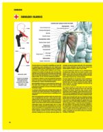 خرید و دانلود نسخه کامل کتاب Strength Training Anatomy, 3rd Edition - تصویر 3