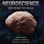 خرید و دانلود نسخه کامل کتاب Neuroscience: Exploring the Brain 5th Edition