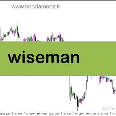 خرید و دانلود دانلود اندیکاتور تغییر روند برای متاتریدر5 با نام Wiseman