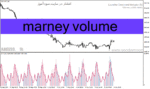 خرید و دانلود دانلود اندیکاتور حجم برای متاتریدر4 با نام marney volume