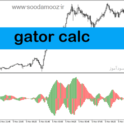 خرید و دانلود دانلود اندیکاتور خوب برای فارکس در متاتریدر5 با نام gator calc