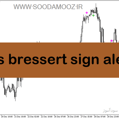 خرید و دانلود دانلود اندیکاتور سیگنال دهی برای متاتریدر5 با نام dss bressert sign alert