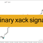 خرید و دانلود دانلود اندیکاتور سیگنال دهی باینری برای متاتریدر4 با نام binary xack signal