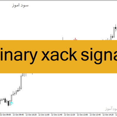 خرید و دانلود دانلود اندیکاتور سیگنال دهی باینری برای متاتریدر4 با نام binary xack signal