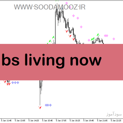 خرید و دانلود دانلود اندیکاتور فراکتال در فارکس برای متاتریدر5 با نام bs living now