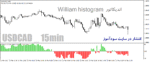خرید و دانلود دانلود اندیکاتور ویلیامز هیستوگرام برای متاتریدر4 با نام william histogram with orders