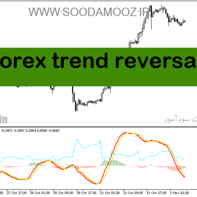 خرید و دانلود دانلود اندیکاتور کاربردی فارکس برای متاتریدر5 با نام forex trend reversal