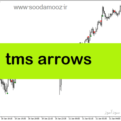 خرید و دانلود دانلود بهترین اندیکاتور برای نقطه ورود برای متاتریدر5 با نام tms arrows