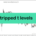خرید و دانلود دانلود بهترین اندیکاتور نقطه ورود برای متاتریدر5 با نام stripped t levels
