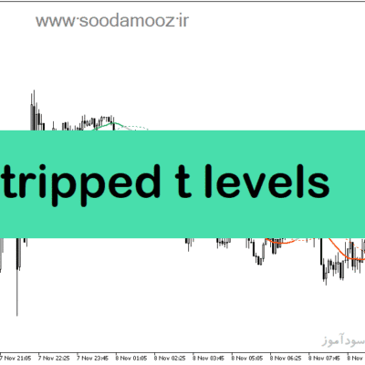 خرید و دانلود دانلود بهترین اندیکاتور نقطه ورود برای متاتریدر5 با نام stripped t levels