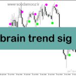 خرید و دانلود دانلود بهترین اندیکاتور برای سیگنال خرید در متاتریدر5 با نام brain trend sig